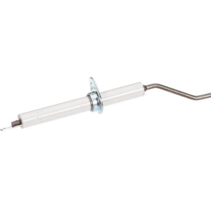 Picture of BKI 2020499 Electrode, Flame Control