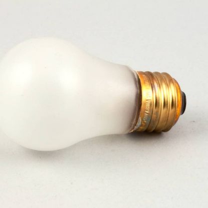 Picture of BKI B0553 Bulb, Stc-t Coated 40W 230V