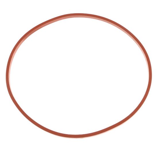 Picture of BKI G0016 Gasket, Fkm Lid, Bonded Silico