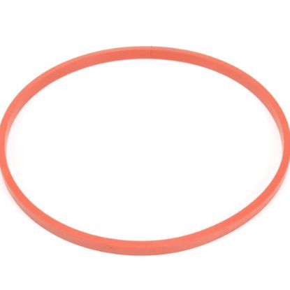 Picture of BKI G0026 Gasket, Lpf Lid, Bonded Silico