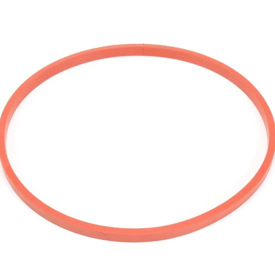 Picture of BKI G0026 Gasket, Lpf Lid, Bonded Silico