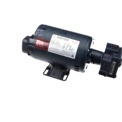 Picture of BKI M0121 Motor W/pump 115-208V230v 50/60Hz