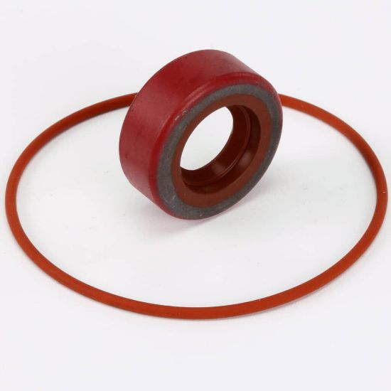 Picture of BKI RK0004 Repair Kit, Haight Pump