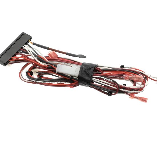 Picture of Turbochef HHB-8311.B Wiring Harness, Lo-voltage, Main