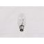 Picture of Broan B02300264 Lamp Bulb 40W