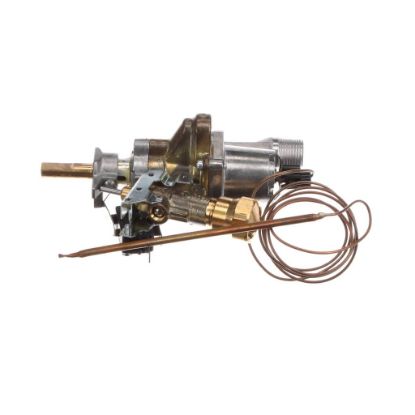 Picture of Bertazzoni 503110 Oven Thermostat