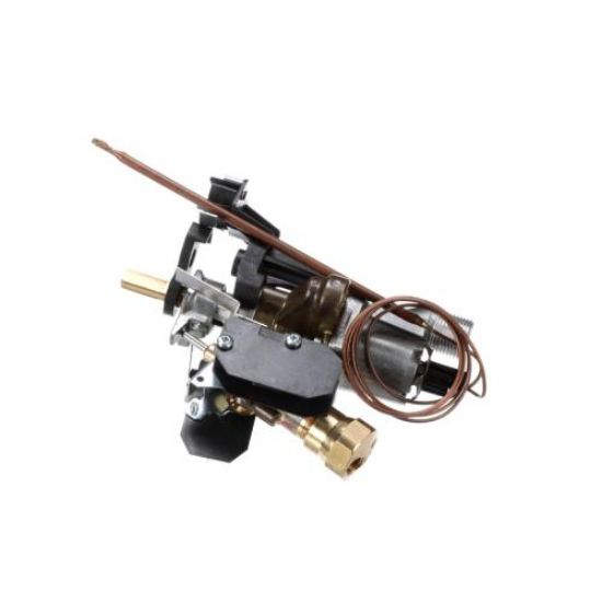 Picture of Bertazzoni 503156 Thermostat