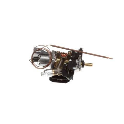 Picture of Bertazzoni 503182 Thermostat