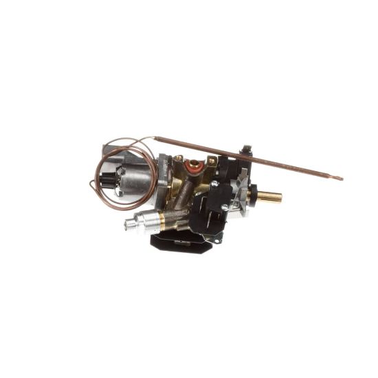 Picture of Bertazzoni 503182 Thermostat