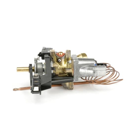 Picture of Bertazzoni 503137 Thermostat