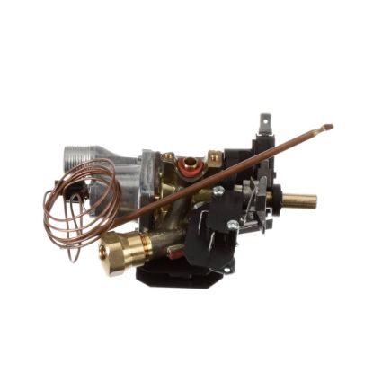 Picture of Bertazzoni 503136 Thermostat