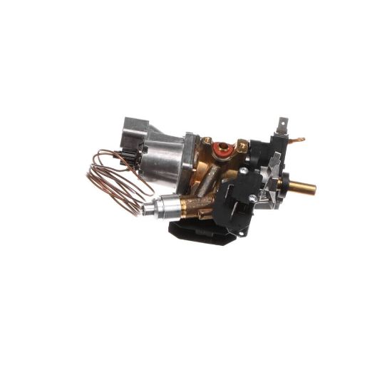 Picture of Bertazzoni 503187 Thermostat