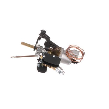 Picture of Bertazzoni 503192 Thermostat
