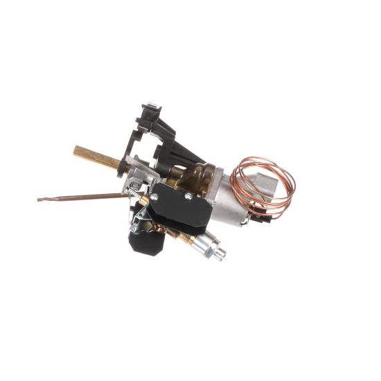 Picture of Bertazzoni 503192 Thermostat