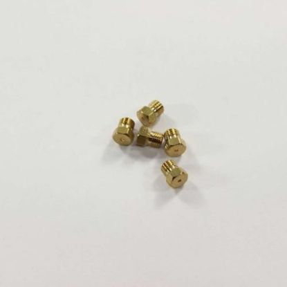 Picture of Bertazzoni 506166 Nozzle G20/10 Diam.118 Dis0222