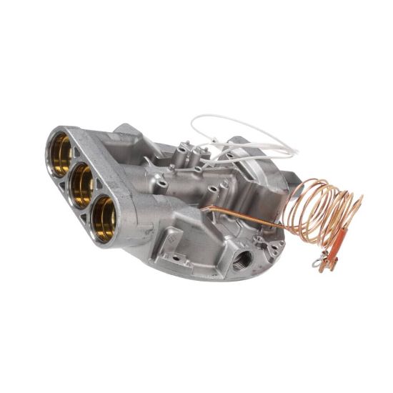 Picture of Bertazzoni 510526 Ultra-rapid Burner (Dual) G20/10