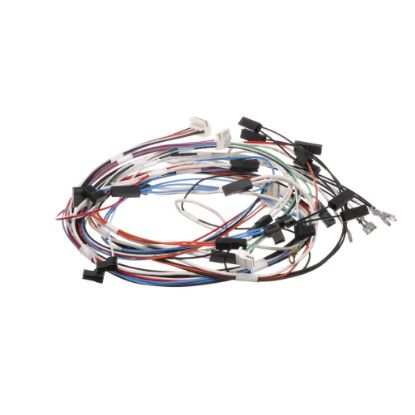 Picture of Bertazzoni 6016077 Pyro Door Latch Wiring