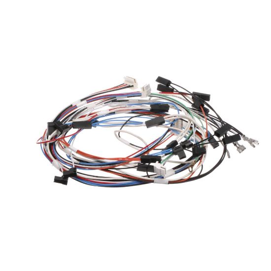 Picture of Bertazzoni 6016077 Pyro Door Latch Wiring