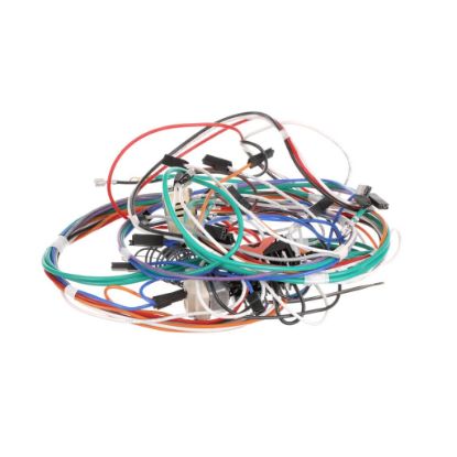 Picture of Bertazzoni 6017165 Wiring