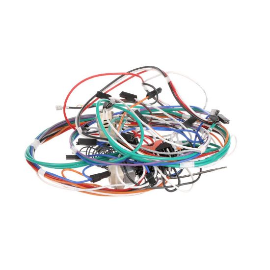 Picture of Bertazzoni 6017165 Wiring