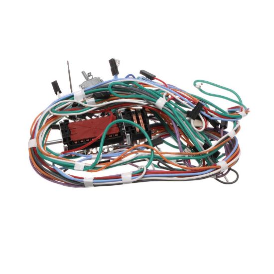 Picture of Bertazzoni 6017164 Wiring For Lamp+c.fans+ignition