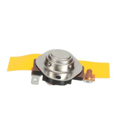 Picture of Bertazzoni 602050 Thermoswitch