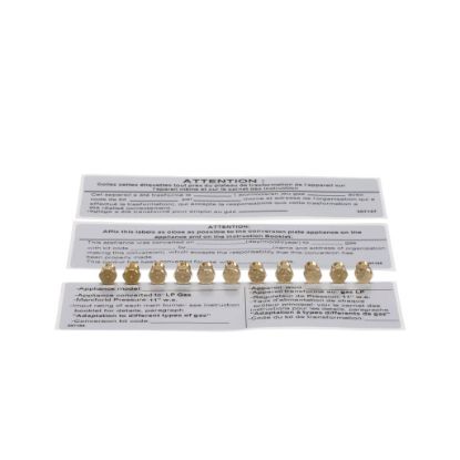 Picture of Bertazzoni 910875 Kit Nozzles