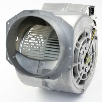 Picture of Bertazzoni Z080025 Tangential Motor
