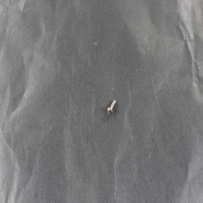 Picture of Bertazzoni Z290105 Screw