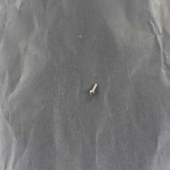 Picture of Bertazzoni Z290105 Screw
