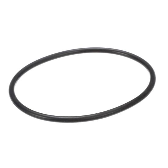 Picture of Bertazzoni Z290174 Seal