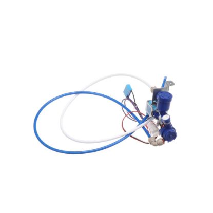 Picture of Bertazzoni Z320369 Valve Body