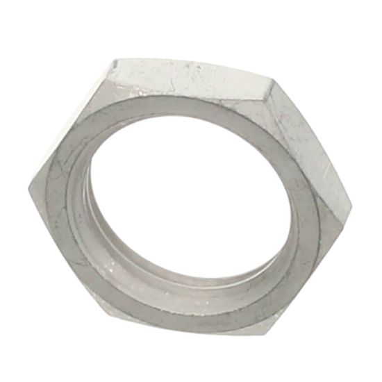 Picture of Bunn 957.0001 Nut,hex Brass .750-16 Tin Pld