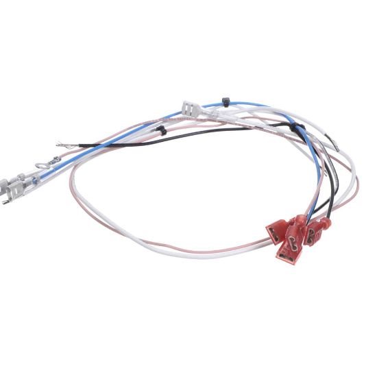 Picture of Bunn 2540.0003 Wiring Harness, 120V Hw2