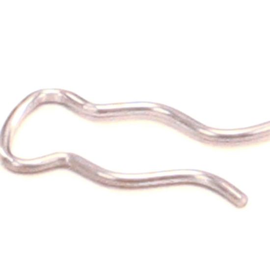 Picture of Bunn 3807 Clip, Spring
