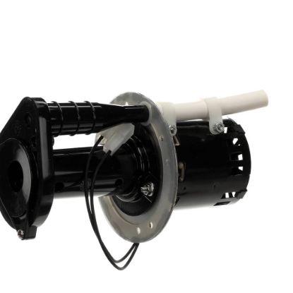 Picture of Bunn 7097.0008 Pump & Motor Kit, 240V 50Hz