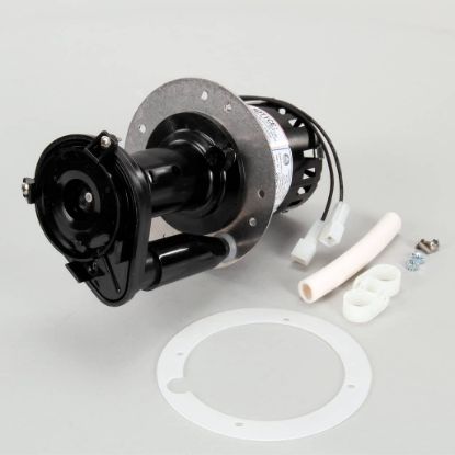 Picture of Bunn 7097 Pump & Motor Kit, 120V 60Hz