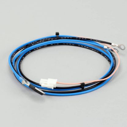 Picture of Bunn 12565.0011 Triac Assy,40a .Smart Funnel.