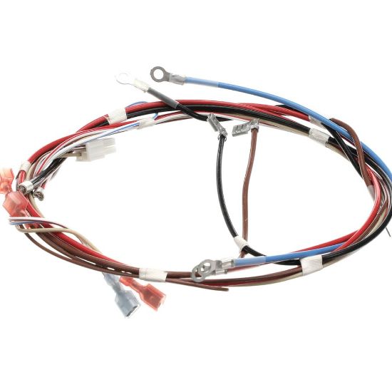 Picture of Bunn 12576.0017 Wiring Harness, Main H5x Element (Food)