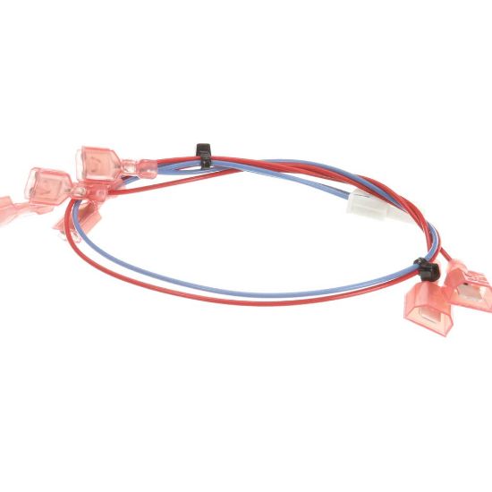 Picture of Bunn 28336 Wiring Harness, Door 120V