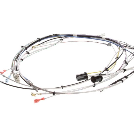 Picture of Bunn 29072 Wiring Harness, Main 120V