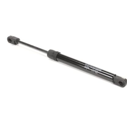 Picture of Bunn 33111.1001 Kit, Gas Spring Assembly Th Door 1/Kit