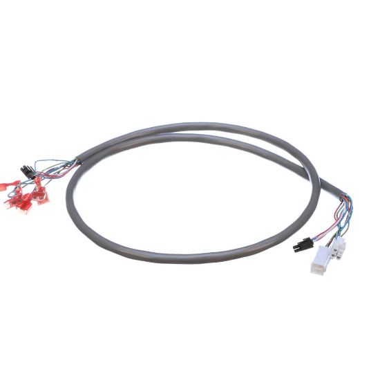 Picture of Bunn 36888.0001 Wiring Harness, Door Interconnect 120V (Right Side Hinge)
