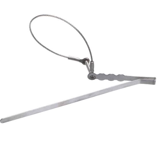 Picture of Bunn 38055.0006 Probe Assembly, Low Level Detect 5.82 Lg