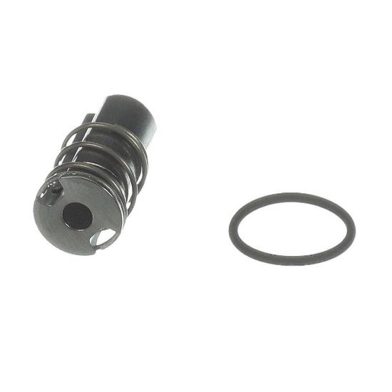 Picture of Bunn 43500.1074 Plunger Kit Parker Lucifer