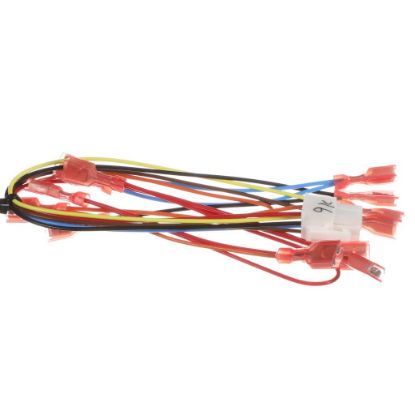 Picture of Bunn 43841.0002 Wire Harness, Motor Cover Assembly Cfv