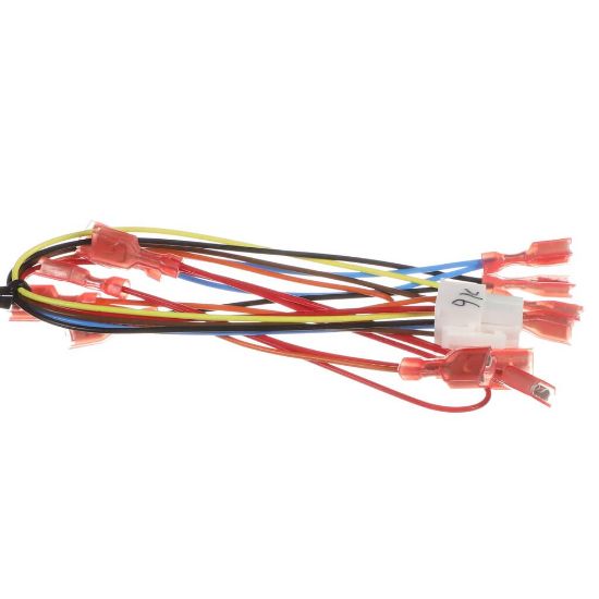Picture of Bunn 43841.0002 Wire Harness, Motor Cover Assembly Cfv