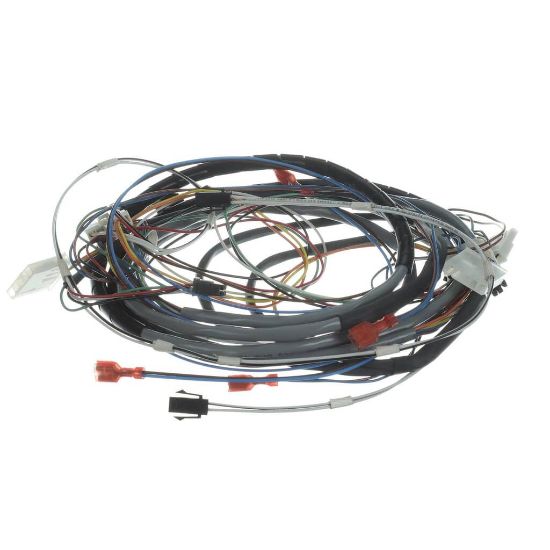 Picture of Bunn 50498.0001 Wiring Harness, Chassis/display