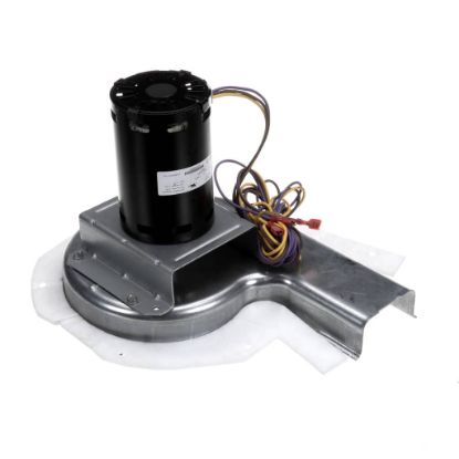 Picture of Carrier 48TM000646 208/230V 1Ph Draft Ind Motor