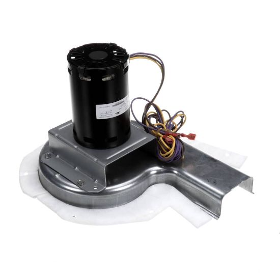 Picture of Carrier 48TM000646 208/230V 1Ph Draft Ind Motor